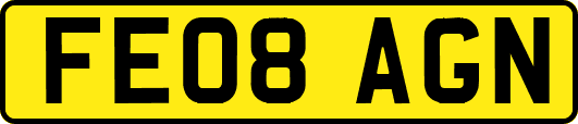 FE08AGN