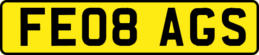 FE08AGS