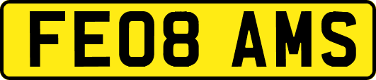 FE08AMS