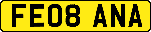 FE08ANA