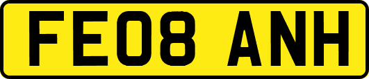 FE08ANH
