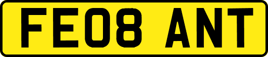 FE08ANT