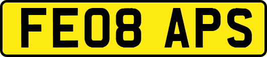 FE08APS