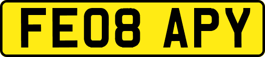FE08APY