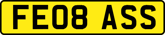 FE08ASS