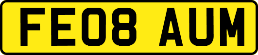 FE08AUM