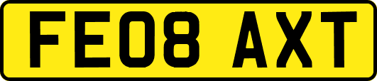 FE08AXT