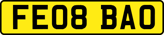 FE08BAO