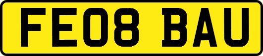 FE08BAU