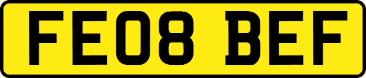 FE08BEF