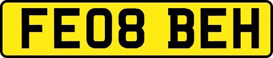 FE08BEH