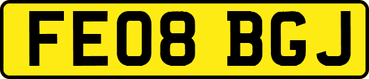 FE08BGJ