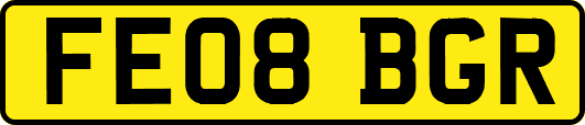 FE08BGR