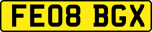 FE08BGX