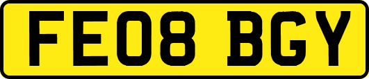 FE08BGY