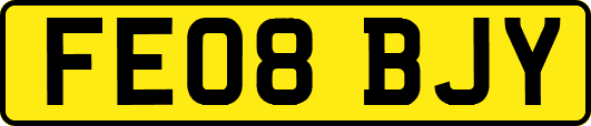 FE08BJY