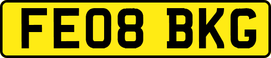 FE08BKG