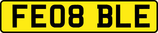 FE08BLE