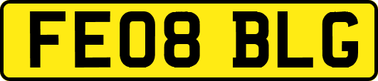 FE08BLG