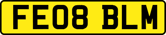 FE08BLM