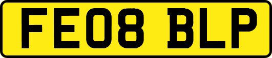 FE08BLP