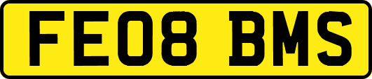 FE08BMS