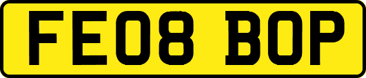 FE08BOP