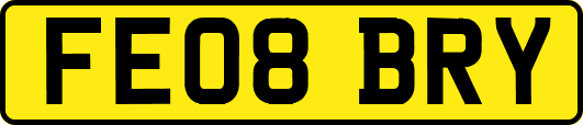 FE08BRY