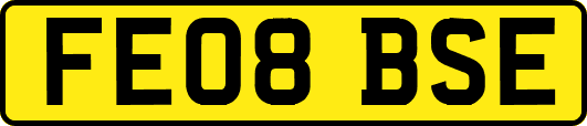 FE08BSE