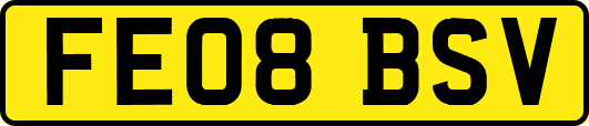 FE08BSV