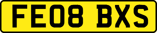 FE08BXS