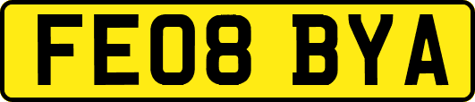 FE08BYA