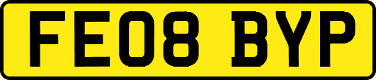 FE08BYP