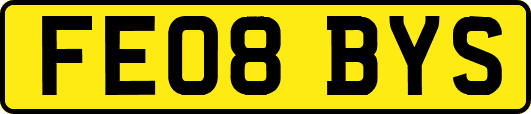 FE08BYS