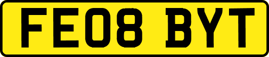 FE08BYT