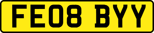 FE08BYY