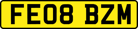 FE08BZM