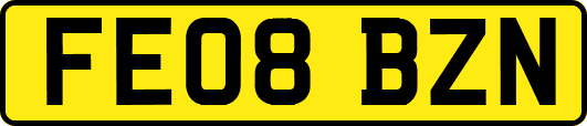 FE08BZN