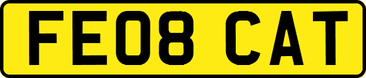 FE08CAT
