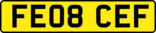 FE08CEF