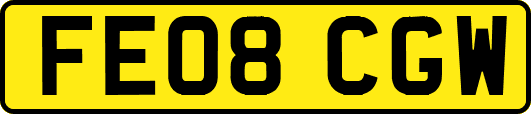 FE08CGW