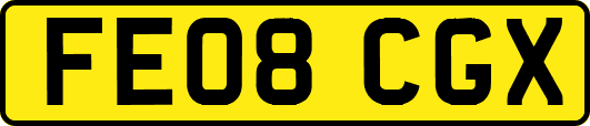FE08CGX