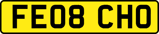 FE08CHO
