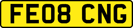 FE08CNG