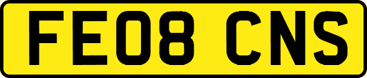 FE08CNS