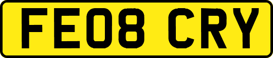 FE08CRY