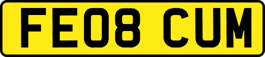 FE08CUM