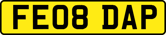 FE08DAP