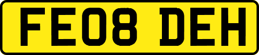 FE08DEH