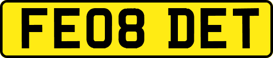 FE08DET